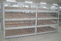 Rolling Section Carton Flow Rack 4 Beam Level Light Duty Movable Storage Management
