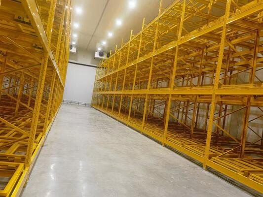 Push Back Racking System Λύση αποθήκευσης υψηλής πυκνότητας για ταχύτερη απόδοση και καλύτερη χρήση του χώρου